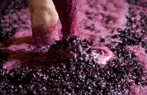 QUINTA DA FAÍSCA - Agro Turismo - Foto 36