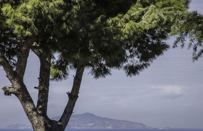 IL Giardino Dell'Arte - Guest House - Photo 70