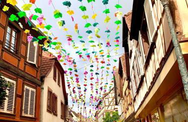 Le nid du Piémont - Photo 25