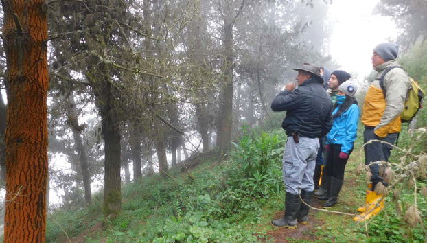 Escuchando las explicaciones del guía