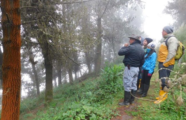 Tour por Quero y 2 noches en una hacienda tradicional - Foto 5