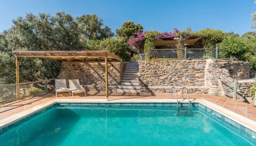 Finca El Gales Cortijo Los Olivos - Foto 1