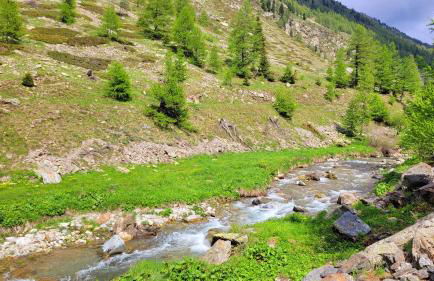 Isola 2000 appartement au pied des pistes wi-fi - Photo 28