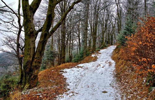 APARTAMENT GRABINKA - 100 m2 - Foto 22