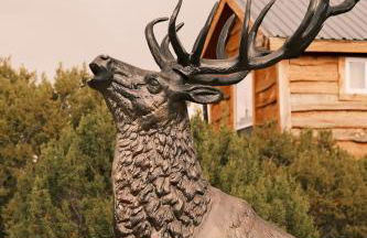 Crows Nest Treehouse At El Mistico Ranch - Foto 13