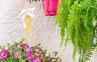 Μεζονέτα στο κύμα - Foto 11