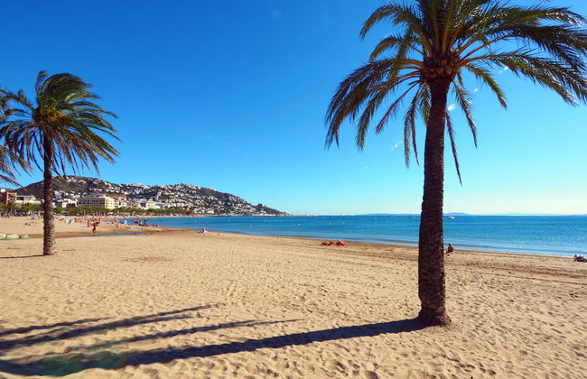 Jeroni Pau - Foto 30