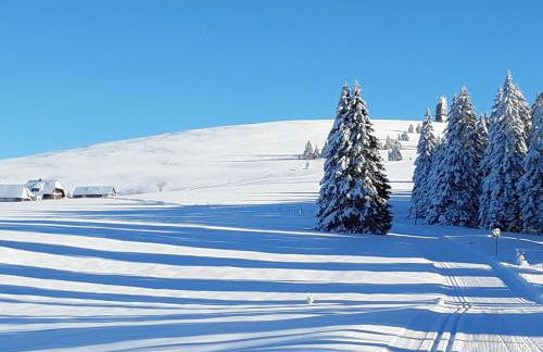 Kopf Frei auf 1000 Meter - Photo 43
