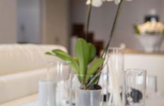 Portacatena Suite - Photo 42