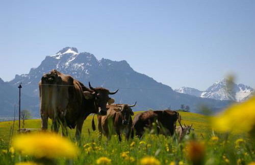 Haus Bergblick - Foto 29