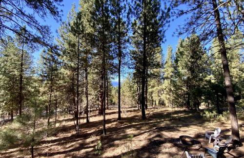 Mint Chip Cabin by Casago McCall - Donerightmanagement - Photo 14