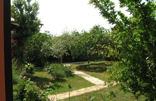 Apartmani Mirjana Umag - Foto 11