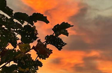 Turismo e Alojamento dos Lagos do Sabor - Piscina & SPA - Foto 37