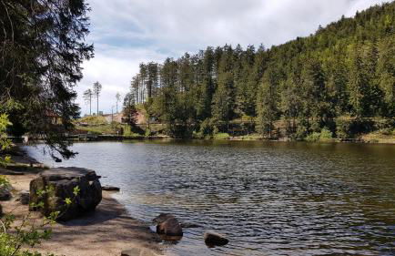 Ferienwohnung Tannenballett im Schwarzwald - Foto 51