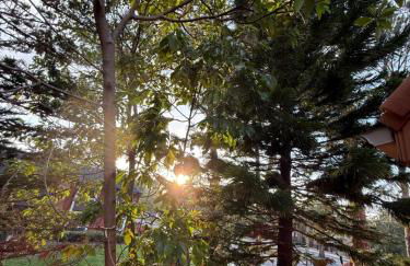 Central Hub - Foto 21