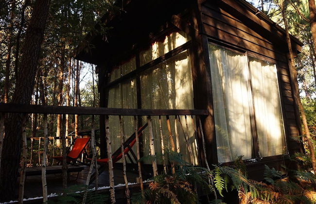 Les Landines - Foto 22