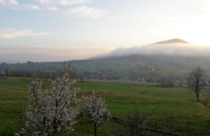 Agrorelax - Domek - Studio - Pokój - Foto 25