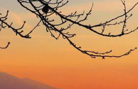 Appartamento Elena - Foto 49