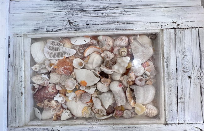 Casa Marlin - Foto 23