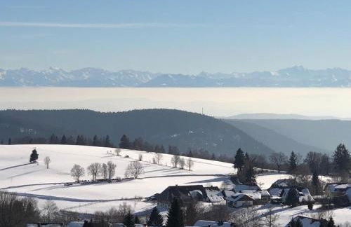 Haus Jurisch - Foto 16