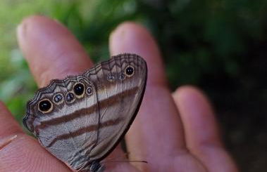Carneiro Caiçara chalés- Casinhas aconchegantes em Ubatuba - Foto 15