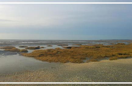 Odyssée gîte sur Péniche - Foto 48