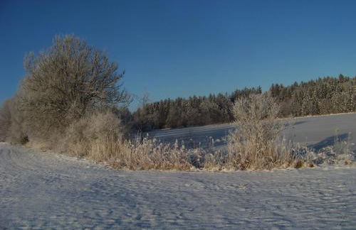 Ferienhaus Brunnenweiher - Foto 19