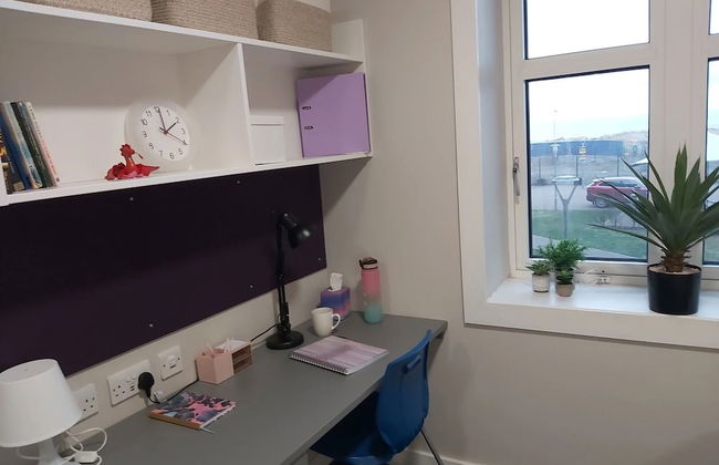 Bay Campus - Photo 4