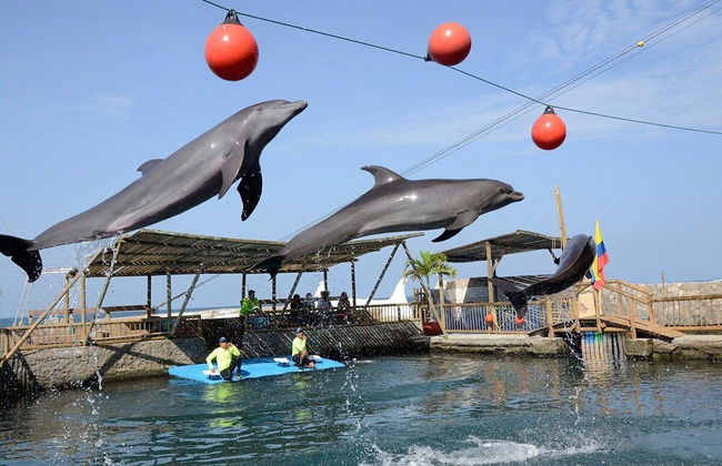 Ambar Roca Suites by Huespedia - Photo 47