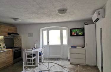 Studio Apartment Mileta - Photo 15