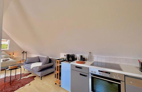 Panorama Studio im Schwarzwald - Foto 15