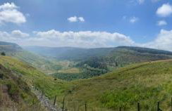 Herbert Place - Foto 35