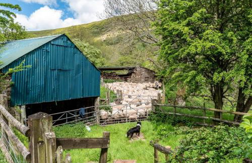 4 Bed in Hereford oc-86497 - Photo 25