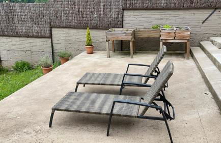 El niu del volcà - Foto 17