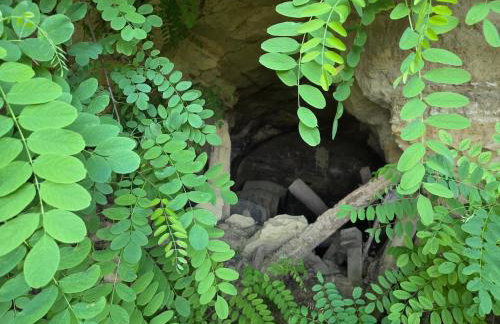 Kuća za odmor MIRTA - Foto 6