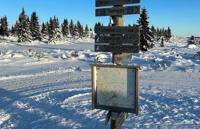 Topcamp Rustberg - Hafjell - Foto 78