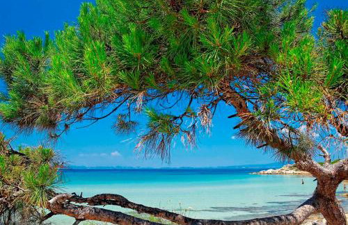 Kissos Apartments - Foto 7