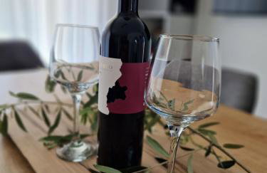 Villa Destiny Nedescina, Istrien, Kroatien - Foto 18