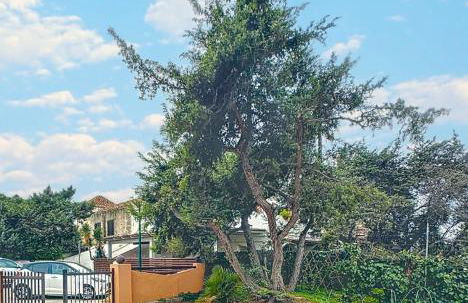 Appartamento in villa privata -villa rialto- - Foto 12