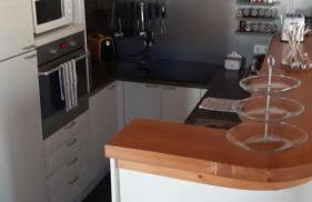 Gecko Pego Longo - Foto 12