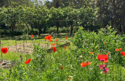 Quinta da Mata de Baixo - Foto 17