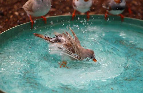 Casa Vista Pájaro - Photo 40