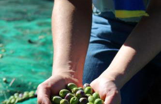 Agriturismo Essentia dimora rurale - Foto 87