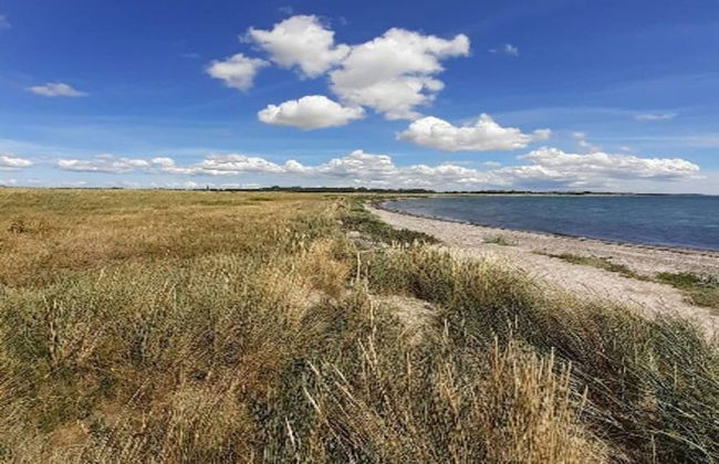 8 Person Holiday Home in Dannemare - Foto 38