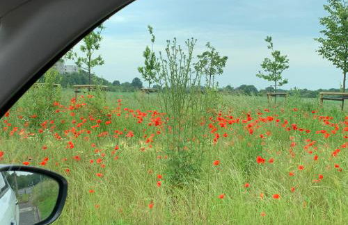 Apartment mit zwei Schlafzimmern - Foto 25