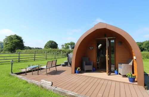 Bwthyn Bach Brefi - Photo 1