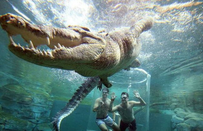 Zen Skytower Harbourview -exclusive 3br Family Apt - Foto 39