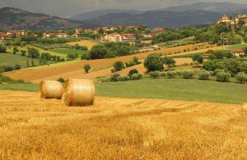 Agriturismo La Ginestrella - Foto 10