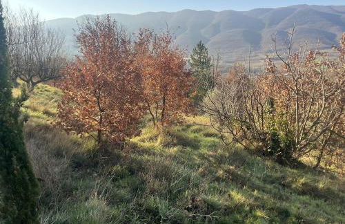 Maison atypique en pleine nature face au Luberon - Foto 45