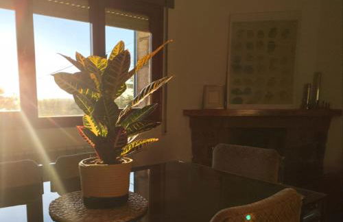 La Campanera - Foto 17